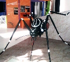 Imagem do mosquito na exposição