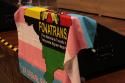 A bandeira do Fonatrans consiste na Bandeira do Orgulho Transgênero com um mapa do Brasil sobreposto.