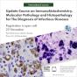 FIFTH International Course on immunohistochemistry, molecular pathology and histopathology for the diagnosis of infectious diseases
