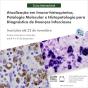 Ilustração com as informações: inscrições abertas – até 22/11/2023 – para o processo seletivo do V Curso Internacional de Atualização em Imuno-histoquímica, Patologia Molecular e Histopatologia para Diagnóstico de Doenças Infecciosas, realizado em parceria com o Center for Disease Control and Prevention (CDC/EUA). O público-alvo são profissionais de nível superior da área de saúde, alunos de pós-graduação e aqueles que atuam/desejam atuar nessas áreas.