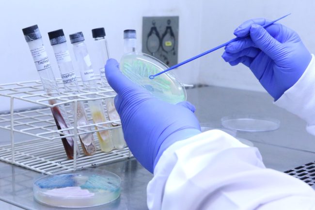 2023 Laboratorio01_KB
