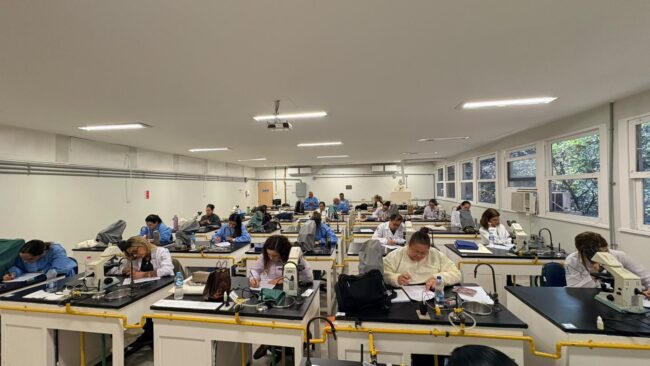 TREINAMENTO_MALARIA 01